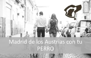 Madrid e los Austrias con tu perro