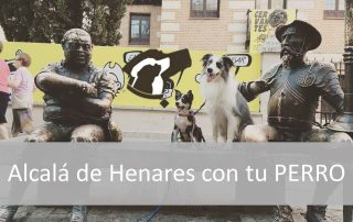 Alcalá de Henares con tu Perro