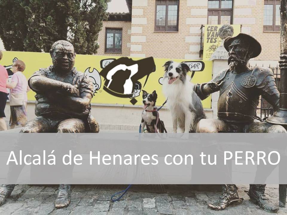 Alcalá de Henares con tu Perro