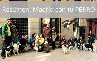 Excursion guiada en Madrid con perros