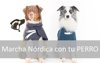 marcha nordica con perro