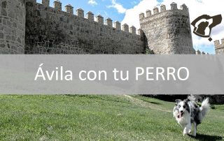 Ávila con tu perro