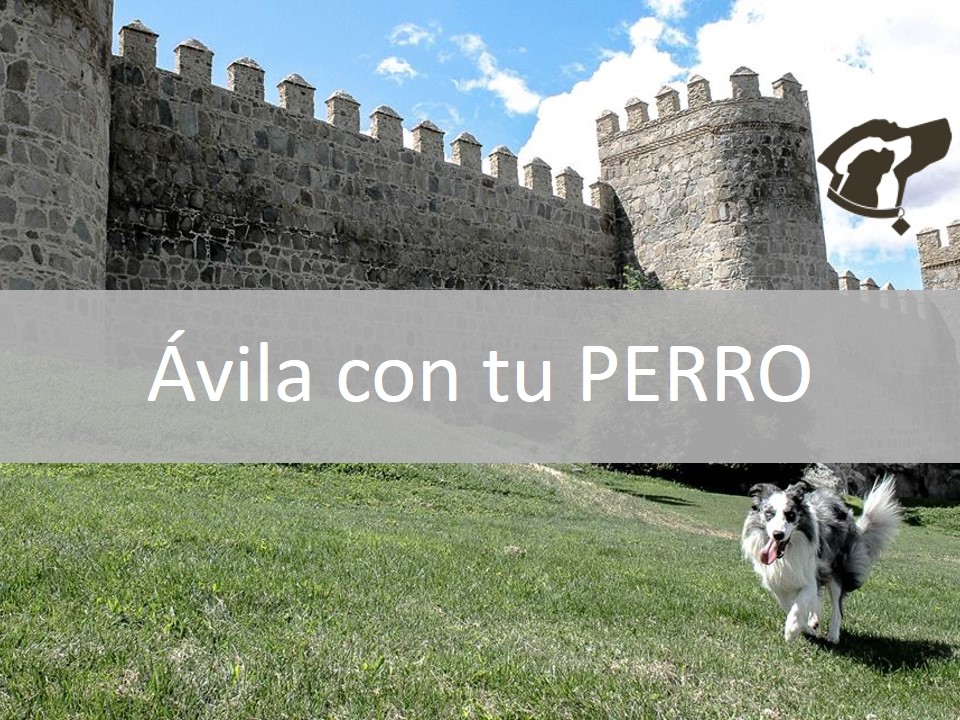 Ávila con tu perro