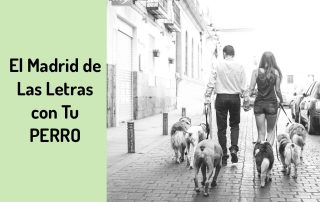 madrid de las letras con perro