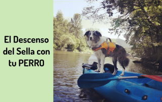 Descenso del Sella con tu PERRO