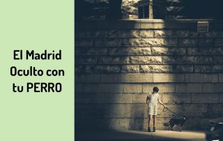 Presume de Perro Educado en Madrid