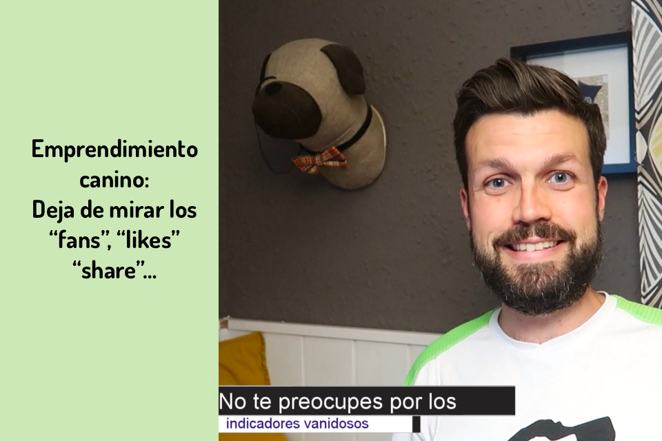 Indicadores vanidosos