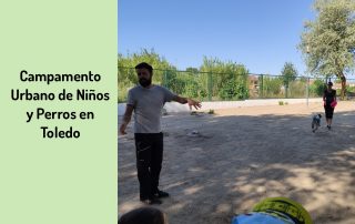 Campamento Urbano de Niños y Perros en Toledo