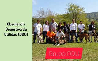 Adiestramiento en Obediencia Deportiva de Utilidad (ODU)