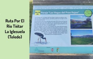 Ruta Por El Rio Tietar con perro