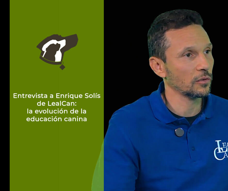 Entrevista a Enrique Solis LealCan la evolucion de la educacion canina black